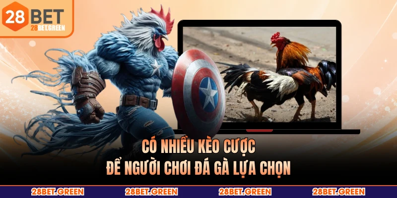 Có nhiều kèo cược để người chơi đá gà lựa chọn