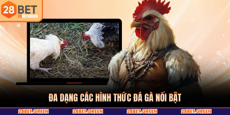 Đa dạng các hình thức đá gà nổi bật