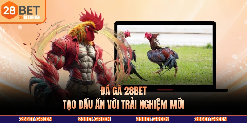 Đá gà 28BET tạo dấu ấn với trải nghiệm mới