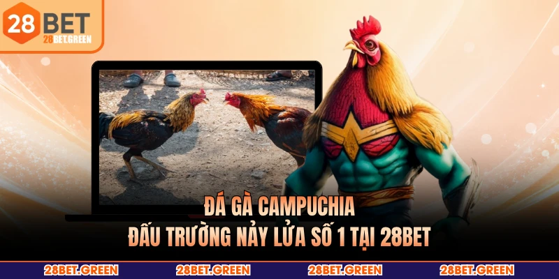 Đá Gà Campuchia - Đấu Trường Nảy Lửa Số 1 Tại 28BET
