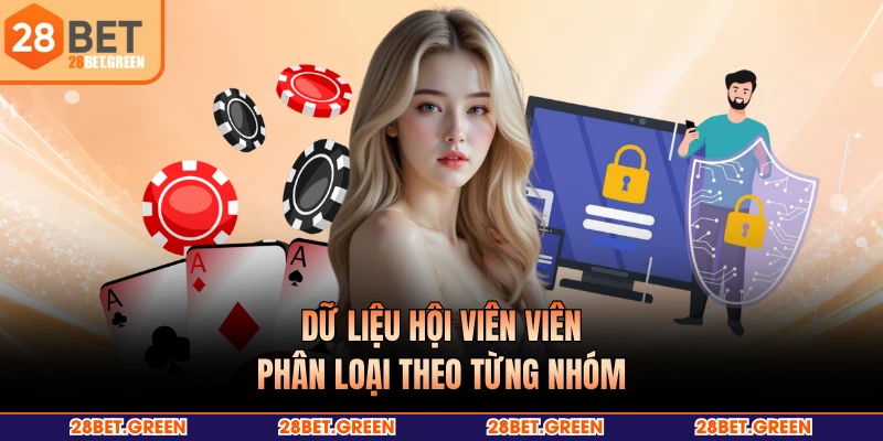 Dữ liệu hội viên viên phân loại theo từng nhóm