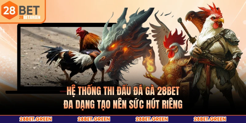 Hệ thống thi đấu đá gà 28BET đa dạng tạo nên sức hút riêng