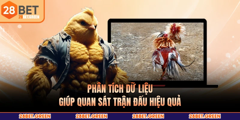 Phân tích dữ liệu giúp quan sát trận đấu hiệu quả