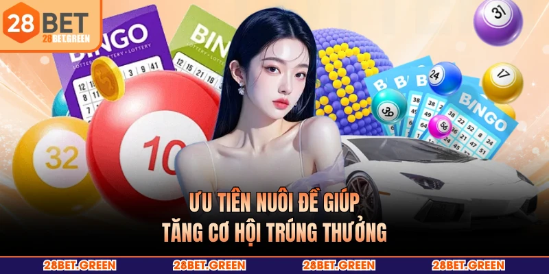 Ưu tiên nuôi đề giúp tăng cơ hội trúng thưởng